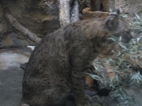 20100206 526.JPG